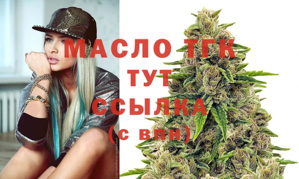 гидра Богородицк