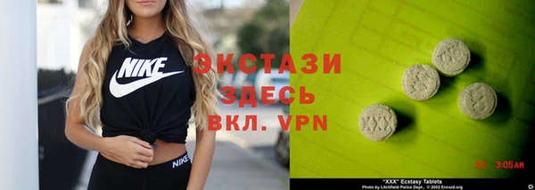 гидра Богородицк