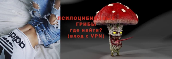 гидра Богородицк
