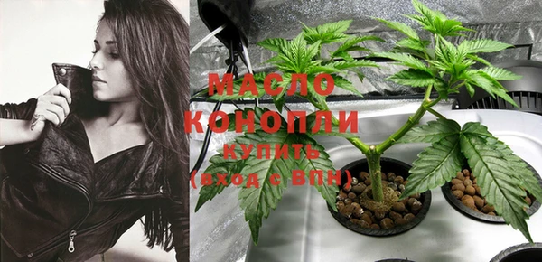гидра Богородицк
