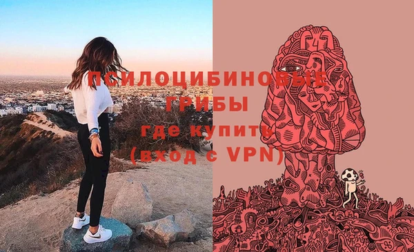 mdpv Богданович