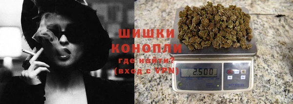 гидра Богородицк